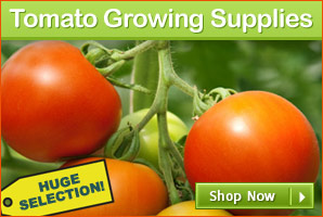 Tomato Growing - FarmTek