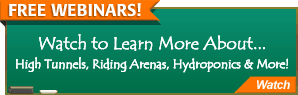 Webinars
