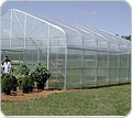 Greenhouses & Greenhouses Equipment - FarmTek