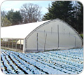 Professional Greenhouse Kits & Commercial Greenhouses - FarmTek