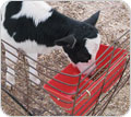 Agricultural Supplies & Farm Products - FarmTek