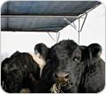 Shade Cloth & Shade Material - FarmTek