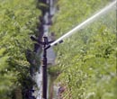 Irrigation - FarmTek