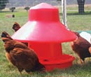 Poultry & Livestock Supplies - FarmTek