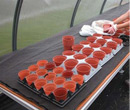 Seed Starting - FarmTek