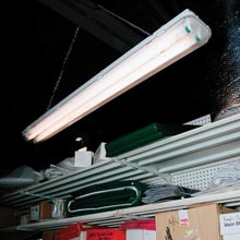 Lighting Fixtures &amp;amp;amp; Light Bulbs - Poultry Lights - Wet Location Fixtures - ValuTek 4' Wet Location Fixture