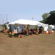 Canopies &amp; Tents - ClearSpan Jubilee Tent 20'W x 20'L - White