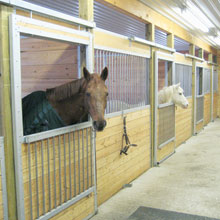 Equine Supplies - 10' Stall Front w/ Fold Down Sliding Door