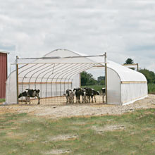 New Products - Premium Moo-Tel