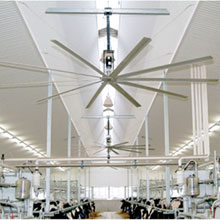  - The Giant High Volume Low Speed Fans