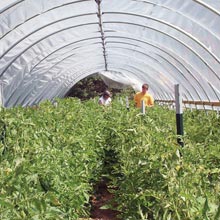 High Tunnel Growing - FarmTek
