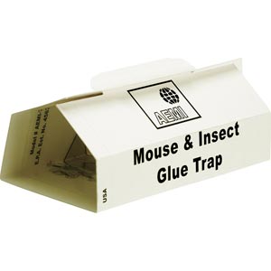 Superior holding glue catches mice, rats and insects. Effective, easy ...