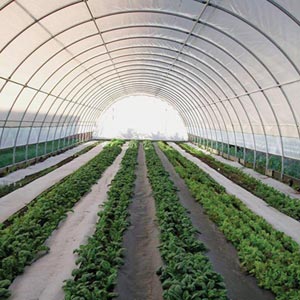 - Economy Round Style High Tunnel - 20'W x 12'H x 48'L