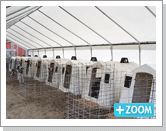 Canopies - FarmTek