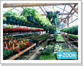 Commercial Greenhouses - FarmTek