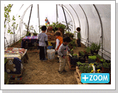 Pro Greenhouses - FarmTek