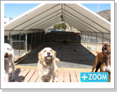 WeatherShield Commercial Canopy - FarmTek