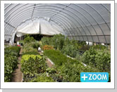 Premium Round Style High Tunnel - FarmTek