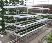 Demonstration Greenhouses - FarmTek