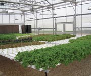 Demonstration Greenhouses - FarmTek