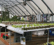 Demonstration Greenhouses - FarmTek