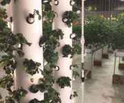 FarmTek Technology Center