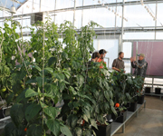 FarmTek Technology Center