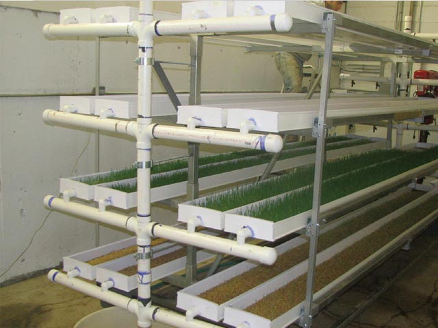 Hoop Feed Systems