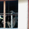 Barn Curtain &amp;amp; Accessories - All-Purpose Fabrics - 16 oz. Vinyl All-Purpose Fabric - Clear