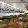 Greenhouses &amp; Accessories - AquaCool Environmental Systems