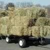 Carts &amp; Wagons - EZ-Haul Utility Trailer w/ Hitch & Deck