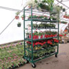 Greenhouses &amp;amp;amp; Accessories - Greenhouse Accessories - Transport &amp; Display Racks - Transport and Display Rack Replacement Parts