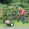 Greenhouses &amp;amp; Accessories - Greenhouse Accessories - Nursery Hand Trucks