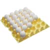 Poultry Equipment - Egg Handling