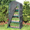 Greenhouses &amp; Accessories - Patio Growhouses & Cold Frames