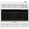 Energy Savers - Heaters &amp; Accessories - Procom Blue Flame Heaters