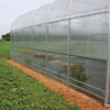 Greenhouse Equipment - Greenhouse Covering - Greenhouse Polycarbonate