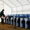 Livestock Equipment - Livestock Pens