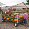 Greenhouses &amp;amp;amp; Accessories - Greenhouse Accessories - Transport &amp; Display Racks - WeatherShield Canopy Wagons