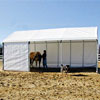 Tension Fabric Buildings - Livestock &amp; Animal Housing - Storage Master Shed Row