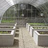 Ag &amp; Growing Supplies - Greenhouses & Greenhouse Kits
