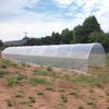 High Tunnels &amp; Cold Frames - EZ-Build & Gro Cold Frames