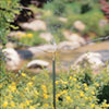 Agricultural Supplies - Water Sprinklers - Telescoping Brass Sprinkler