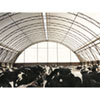 Livestock Equipment - Name not found - Pony Wall Buildings - Clearspan Ridge Vent