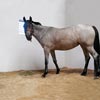 Livestock Equipment - Livestock Stables & Pens