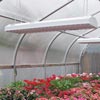Barn Lights &amp; Lighting Fixtures - Greenhouse Lighting