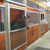 Equine Supplies - Champion Horse Stall Systems