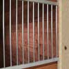 Equine Supplies - Champion Horse Stall Accessories