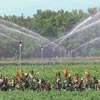 Agricultural Supplies - Water Sprinklers