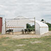 Tension Fabric Buildings - Livestock &amp; Animal Housing - Premium Moo-Tel